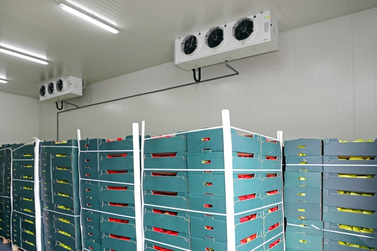 Refrigerated Cold Rooms and Freezer Rooms
